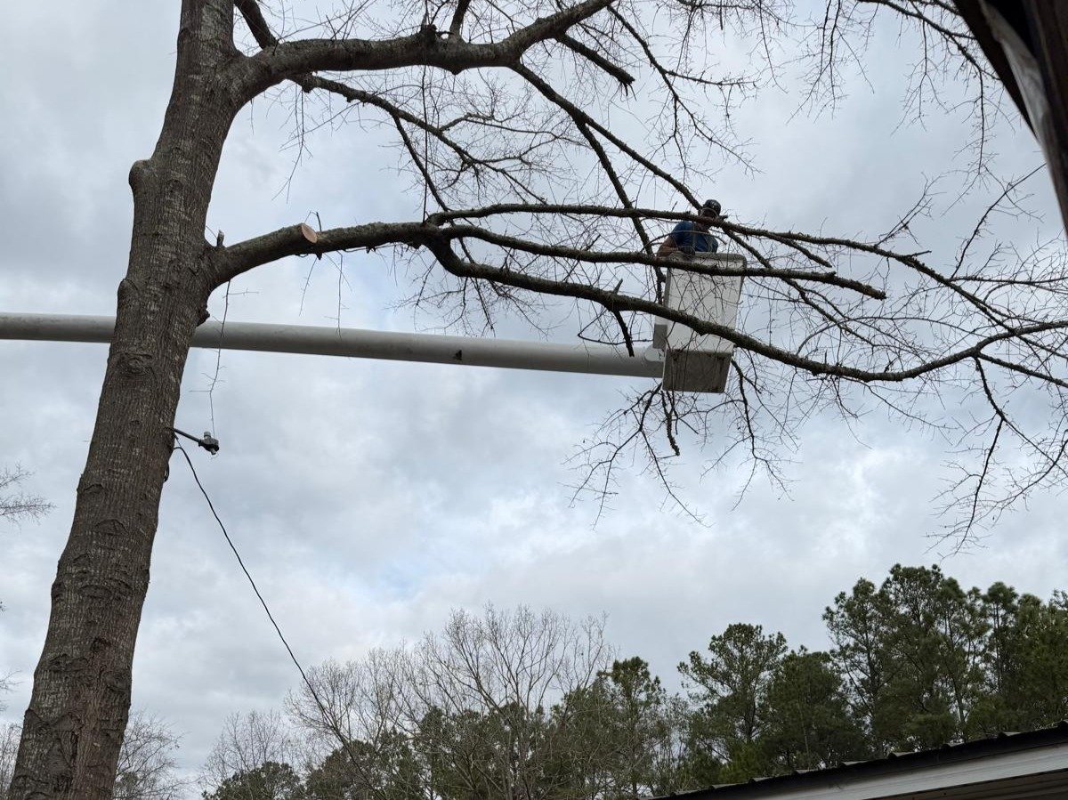 El Costeño Tree Service LLC